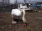 P4101760.JPG