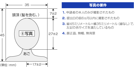 証明写真のサイズ見本